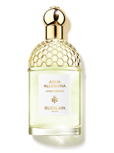 Aqua Allegoria Herba Fresca Guerlain Sample